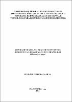 Dissertação - Eudivane F. Silva .pdf.jpg