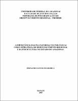 Dissertação - Fernando Santos Folhadela.pdf.jpg