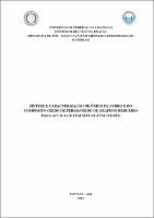 Dissertação  - Valeska S. Jezini.pdf.jpg