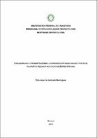 Dissertação - Enio J. A. Rodrigues.pdf.jpg