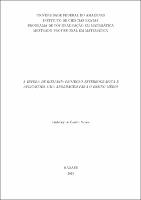 Dissertação - Euderley de Castro Nunes.pdf.jpg