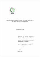 Dissertação - Carina Figueiredo Coelho.pdf.jpg