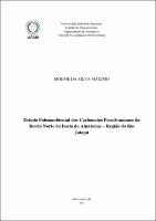 Dissertação - Moeme da Silva Máximo.pdf.jpg