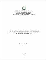 Dissertação - Andréa Cristina Souza.pdf.jpg