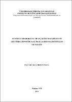 Dissertação - Itaciara Malcher Fosnseca.pdf.jpg