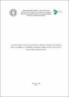 Dissertação - Fabiana Sarges da Silva.pdf.jpg