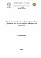 Dissertação - Márcia Melo Ramos.pdf.jpg