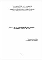 Dissertação - Tiago Maiká Müller Schwade.pdf.jpg