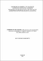Tese - Susy R. Simonetti.pdf.jpg