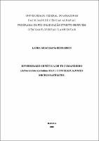 Dissertação - Laura Graciliana Bernardes.pdf.jpg