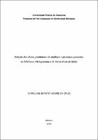 CAROLINIE BATISTA NOBRE DA CRUZ.pdf.jpg