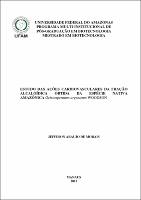 Dissertação - Jeffeson Araujo de Morais.pdf.jpg