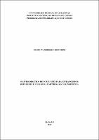 Dissertação - Filipe Wanderley Misturini.pdf.jpg