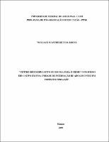 Dissertação - Wollace S. da Rocha.pdf.jpg