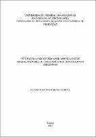 Dissertacão- Cláudio Aluisio Farias Palheta.pdf.jpg