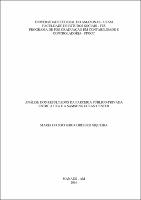 Dissertação - Maria do Socorro Cordeiro Siqueira.pdf.jpg