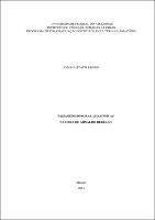 Dissertação - João Gustavo Kienen.pdf.jpg
