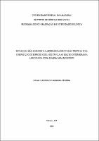Dissertação  - Lucas Gabriel A. Pereira.pdf.jpg