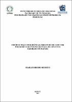 Dissertação  - Charles R. Brito.pdf.jpg