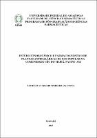Dissertação - Patrícia S. P. Costa.pdf.jpg