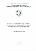 Dissertação - Tiago F. A. Maia.pdf.jpg