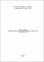 Dissertação - Karina L. M. Castro.pdf.jpg