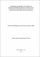 Dissertação - Amilcar N. Pires Junior.pdf.jpg