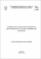 Dissertação - Carlos Henrique E. Freire.pdf.jpg