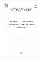 Dissertação - Alessandro M. Silva.pdf.jpg