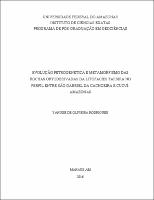 Dissertação - Vanisse O. Rodrigues.pdf.jpg