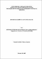 Tese - Benedito E.P.P. Maciel.pdf.jpg