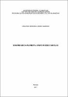 Dissertação - Raimundo Gérson L. Cardoso.pdf.jpg