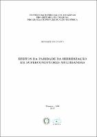 Dissertação -Henrique Pecinatto.pdf.jpg