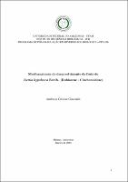 Dissertação - Andressa C. Giacomim.pdf.jpg