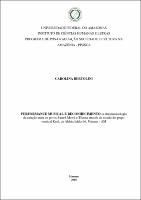 Dissertação - Carolina Bertolini.pdf.jpg