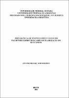 Dissertação - Antônio Rafael Wong Ramos.pdf.jpg