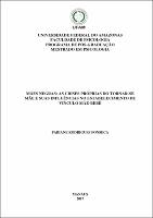 Dissertação - Fabiane R. Fonseca.pdf.jpg