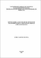 Dissertação - Jamily C. Souza.pdf.jpg