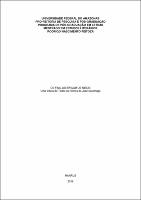 Dissertação - Rodrigo N. Feitoza.pdf.jpg