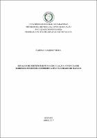 Dissertação - Fabíola V. Vieira.pdf.jpg