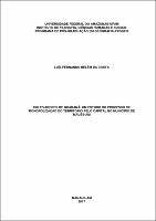 Dissertação - Luís Costa.pdf.jpg
