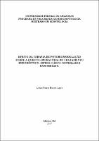 Dissertação - Luana P. B. Lopes.pdf.jpg