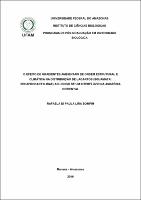 Dissertação - Rafaela Bomfim.pdf.jpg