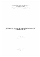 Dissertação_Alain R. Graça.pdf.jpg