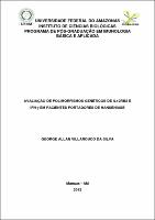 Dissertação_George Allan Villarouco da Silva.pdf.jpg