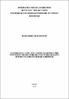 Dissertação_Breno M. S. Perrone.pdf.jpg