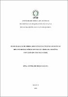 Dissertação_Lívia Saraiva.pdf.jpg