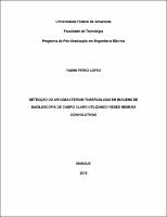 Dissertação_Yadini P. Lopez.pdf.jpg