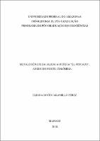 Dissertação_ElianaJaramilloPerez_PPGEO.pdf.jpg