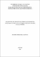 Dissertação_HerminioSantana_PROFMAT.pdf.jpg